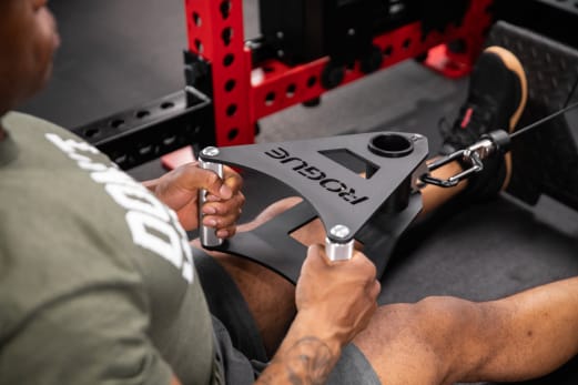 Rogue LM-1P Parallel Landmine Handle & Cable Attachment | Rogue